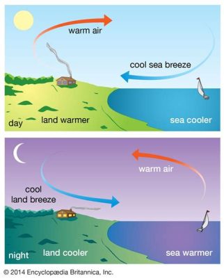 為什麼夏天河邊涼快?夏天河邊的清風不僅帶來涼爽，更是一種心境的舒展。